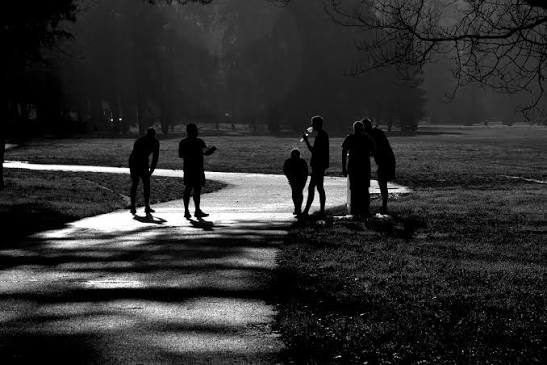 A group of runners regrouping on a park path in morning light